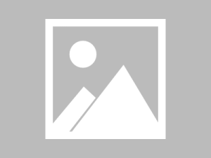 GPT-4o跌落神坛,Claude 3.5 新王登基